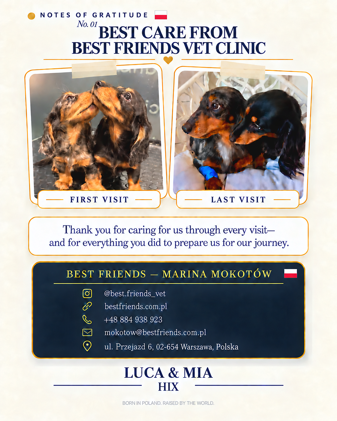 Notes of Gratitude feature thanking Best Friends Vet Clinic in Warsaw
